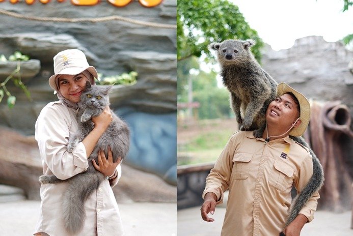 Intip Satwa Dari Animal Edutainment di Panggung Brahma Jember Mini Zoo