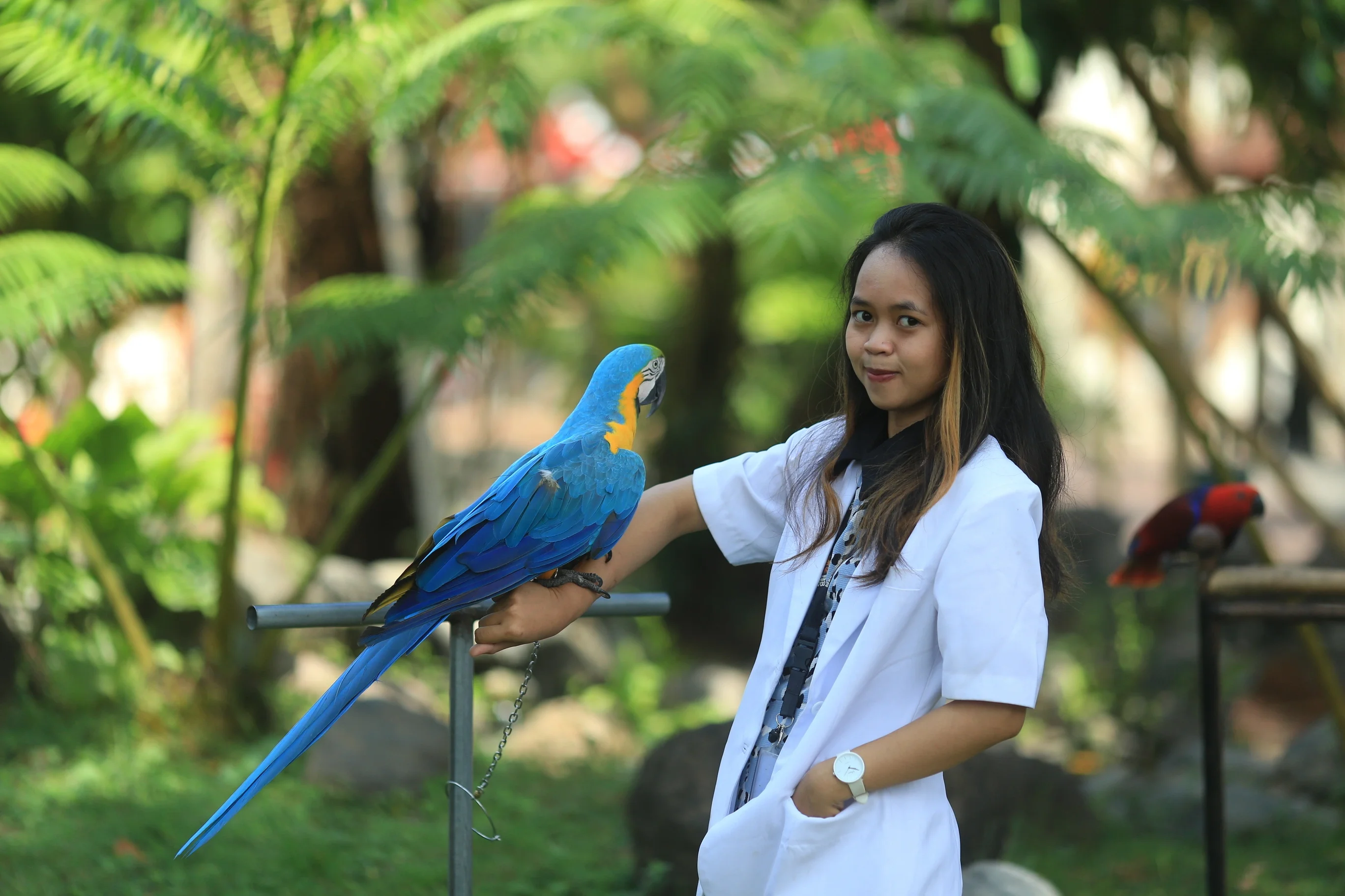 Mengenal Tentang Jember Mini Zoo